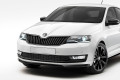 Защита радиатора Skoda Rapid 2017 (комплект)