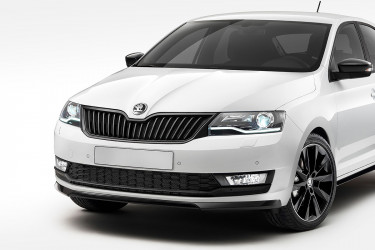 Защита радиатора Skoda Rapid 2017 (комплект)