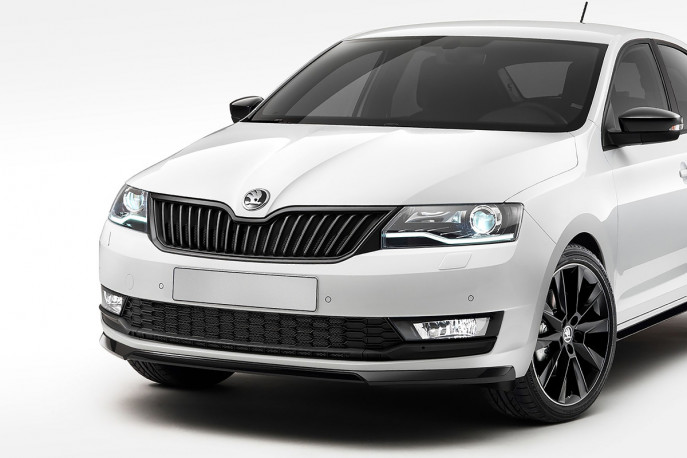 Защита радиатора Skoda Rapid 2017 (комплект)