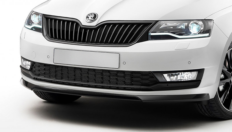 Защита радиатора Skoda Rapid 2017 (комплект)