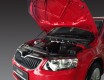 Амортизаторы капота Octavia A7