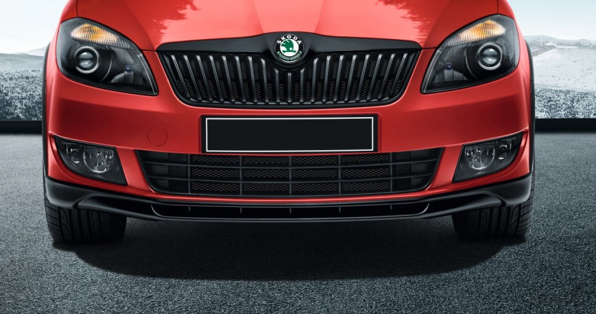 Нижняя защита радиатора Fabia